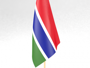 office flag gambia 3D 모델