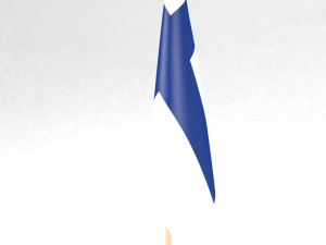office flag finland 3D Modell