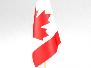 office flag canada 3D-Modell