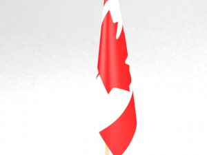 office flag canada Modèle 3D