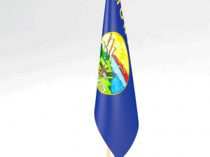 office flag montana 3D Model