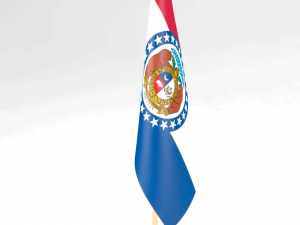 office flag missouri Modello 3D
