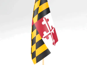 ofis bayrağı maryland 3D Model