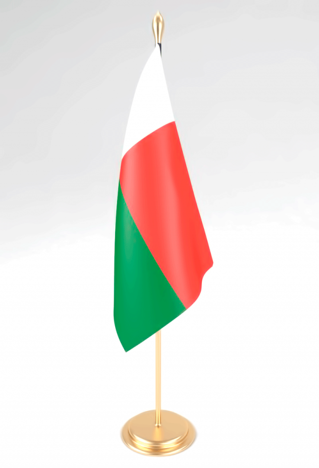 office flag madagascar 3D Model .c4d .max .obj .3ds .fbx .stl .blend 