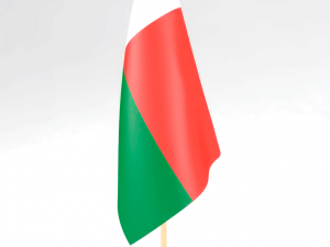 office flag madagascar 3D Модель