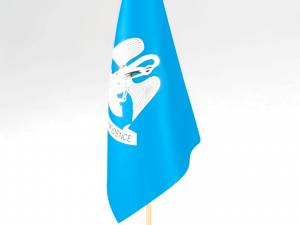 office flag louisiana 3D Модель