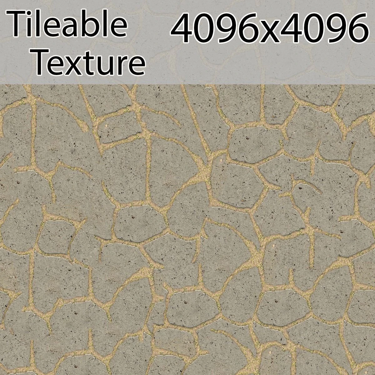 stone-00352-armrendcom-texture CG Textures .c4d .max .obj .3ds .fbx .stl .blend