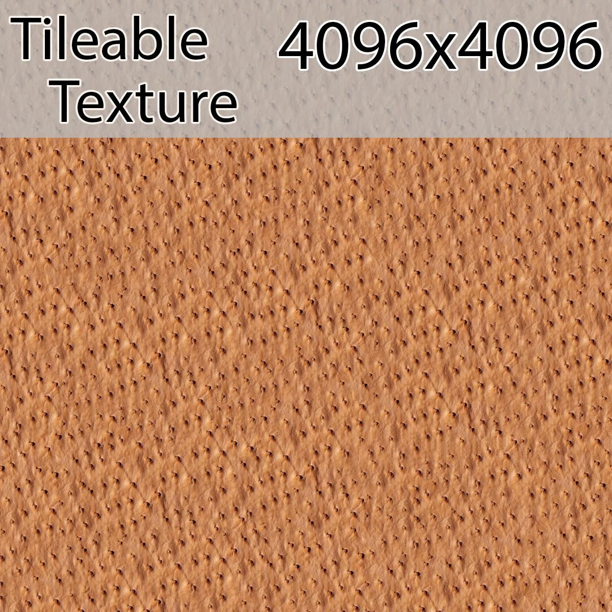 leather-00721-armrendcom-texture CG Textures .c4d .max .obj .3ds .fbx .stl .blend
