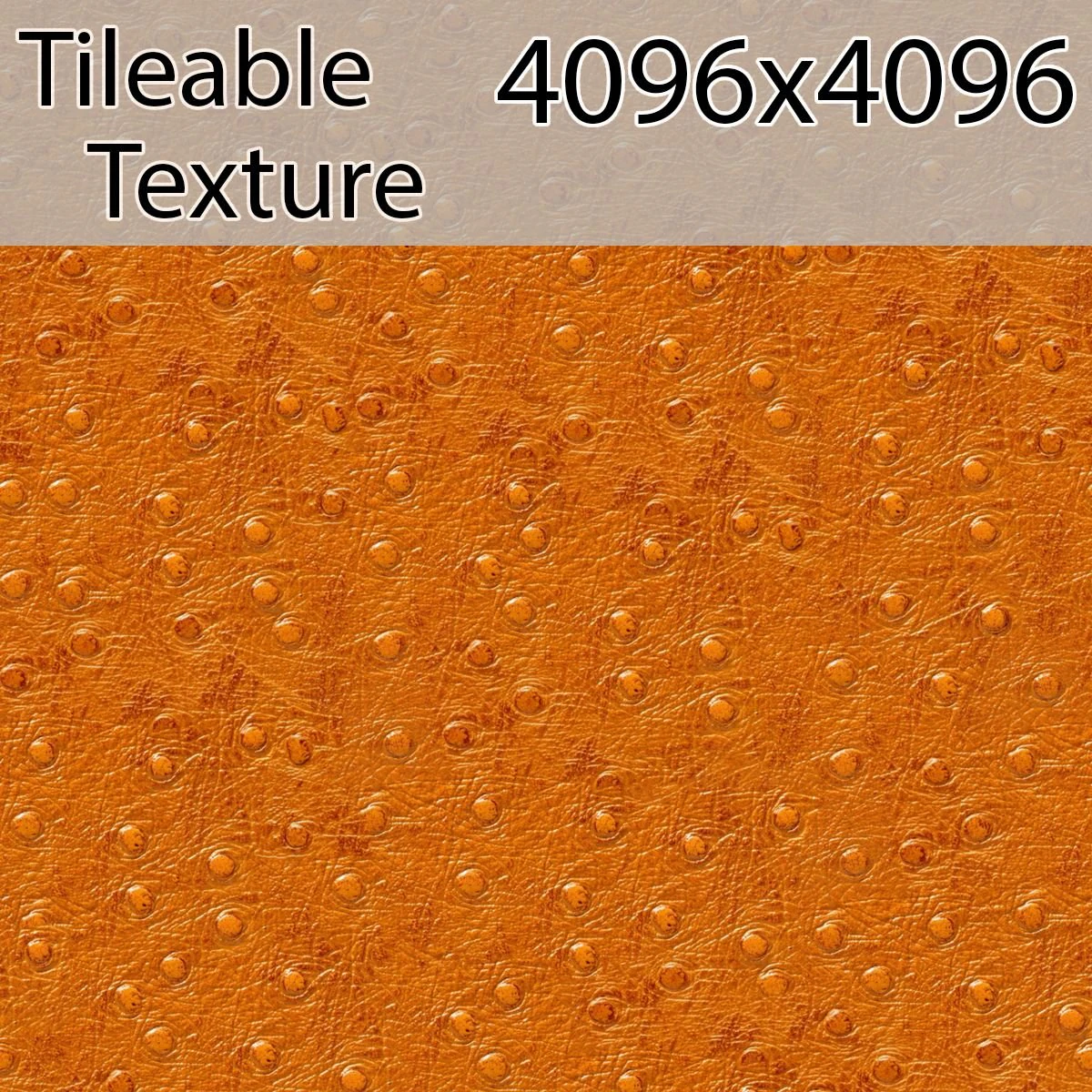 leather-00724-armrendcom-texture CG Textures .c4d .max .obj .3ds .fbx .stl .blend 