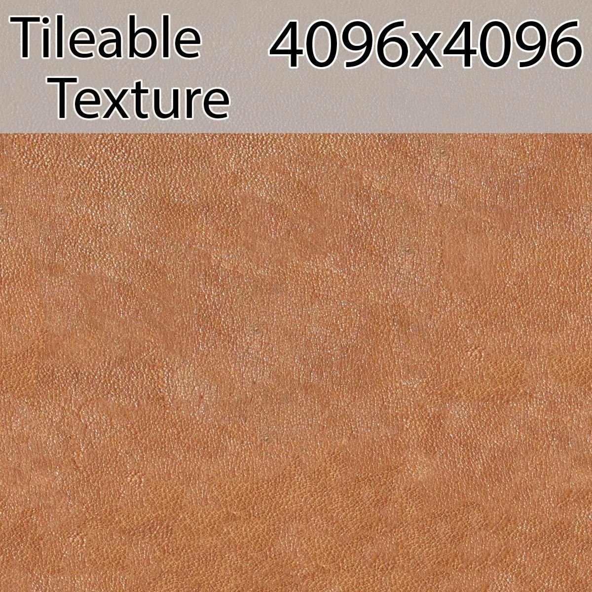 leather-00764-armrendcom-texture CG Textures .c4d .max .obj .3ds .fbx .stl .blend 