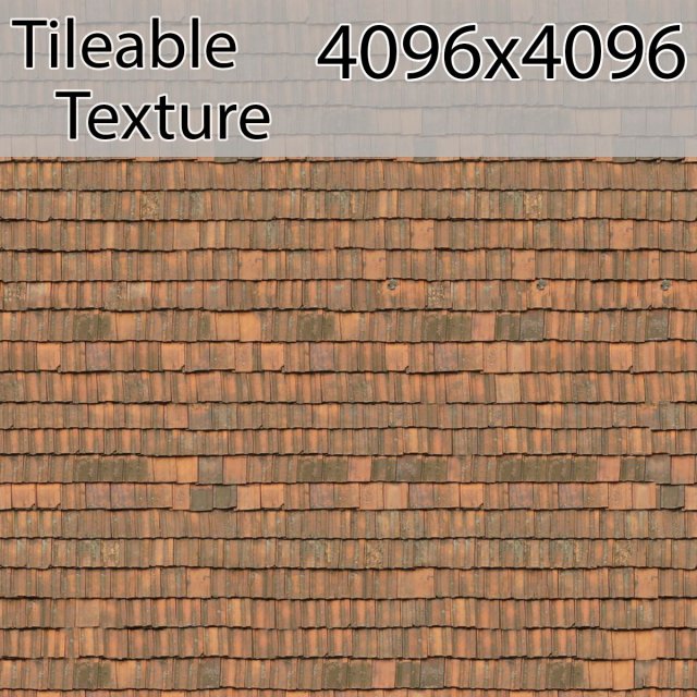 roof-00779-armrendcom-texture CG Dokuları .c4d .max .obj .3ds .fbx .stl .blend 