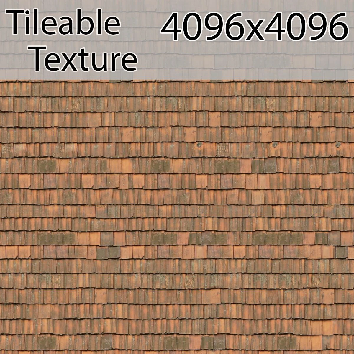 roof-00779-armrendcom-texture CG Textures .c4d .max .obj .3ds .fbx .stl .blend