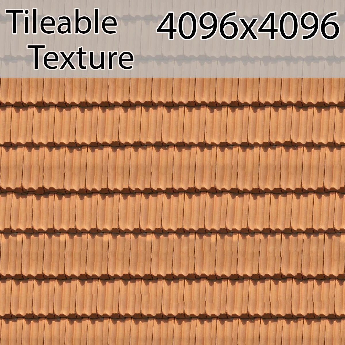 roof-00784-armrendcom-texture CG Textures .c4d .max .obj .3ds .fbx .stl .blend 