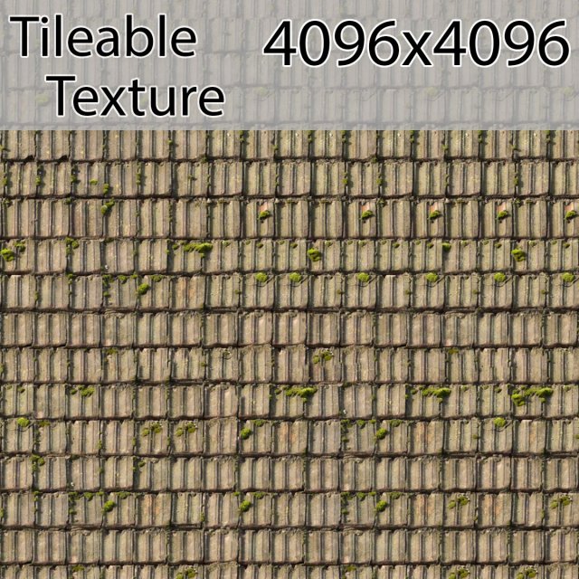 roof-00785-armrendcom-texture CG 텍스쳐 .c4d .max .obj .3ds .fbx .stl .blend 