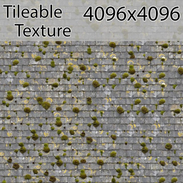 roof-00792-armrendcom-texture CG Texturen .c4d .max .obj .3ds .fbx .stl .blend 