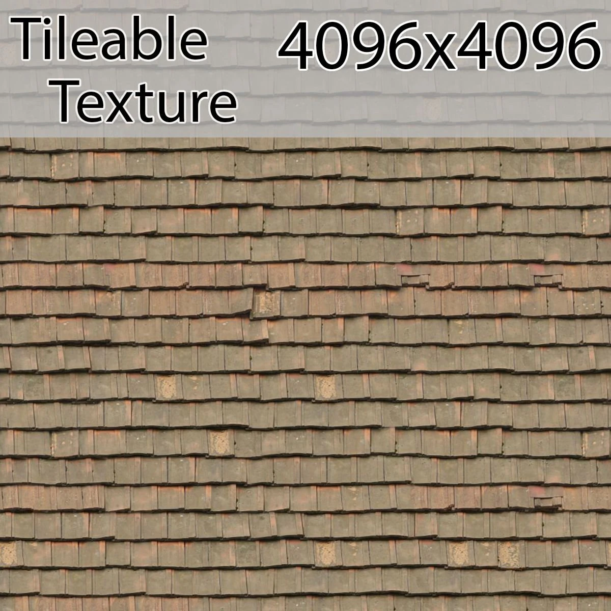 roof-00794-armrendcom-texture CG Textures .c4d .max .obj .3ds .fbx .stl .blend 