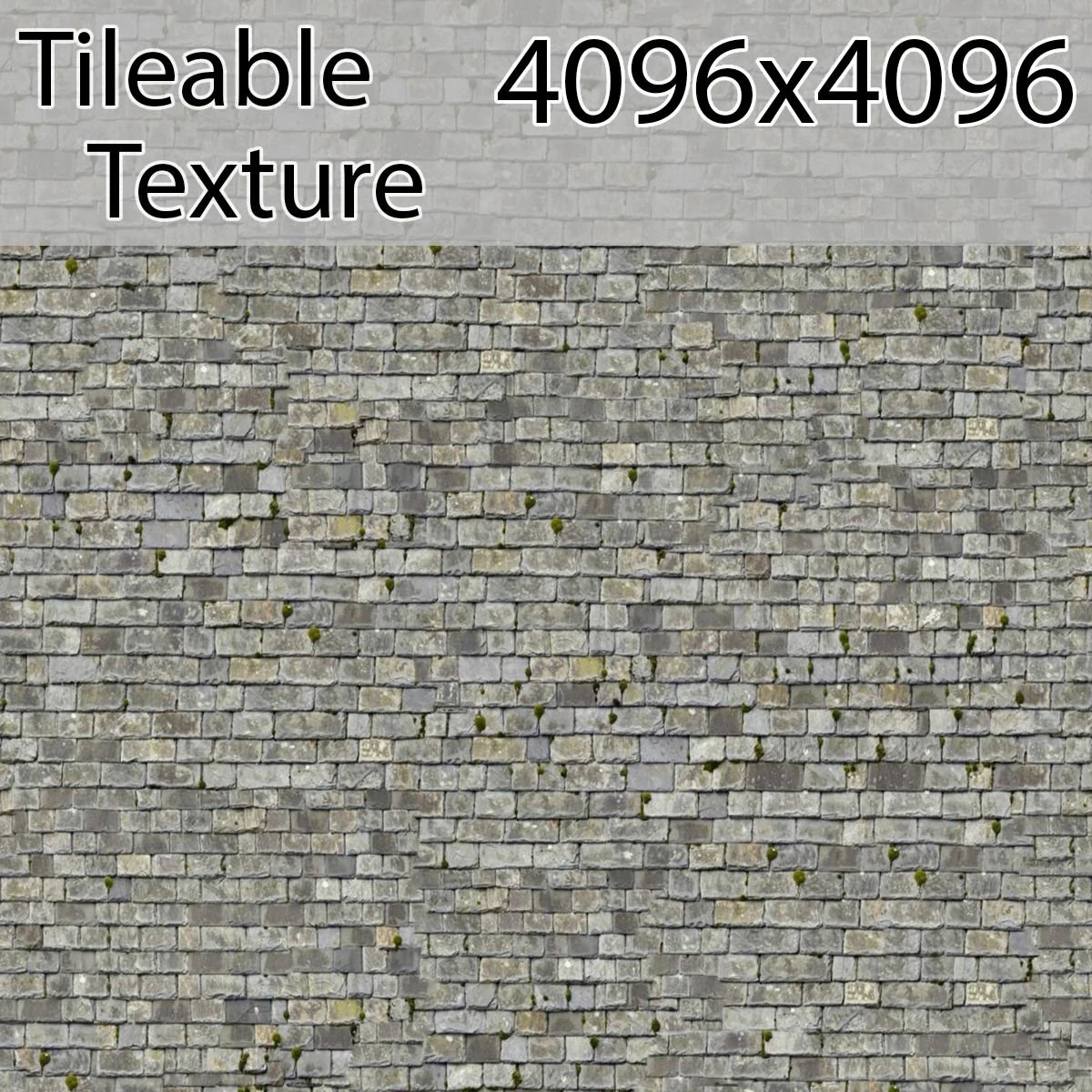 roof-00796-armrendcom-texture CG Textures .c4d .max .obj .3ds .fbx .stl .blend 