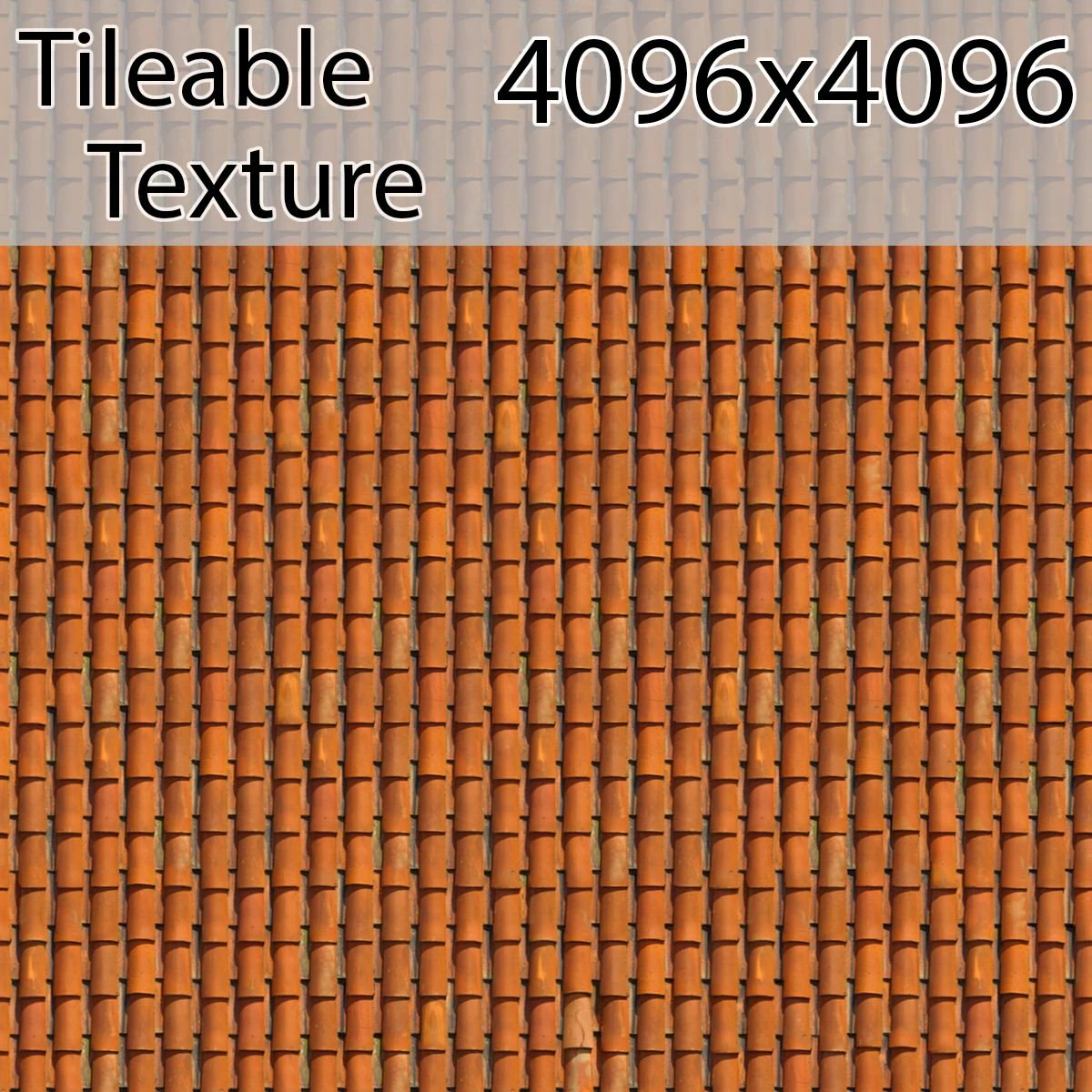 roof-00806-armrendcom-texture CG Textures .c4d .max .obj .3ds .fbx .stl .blend