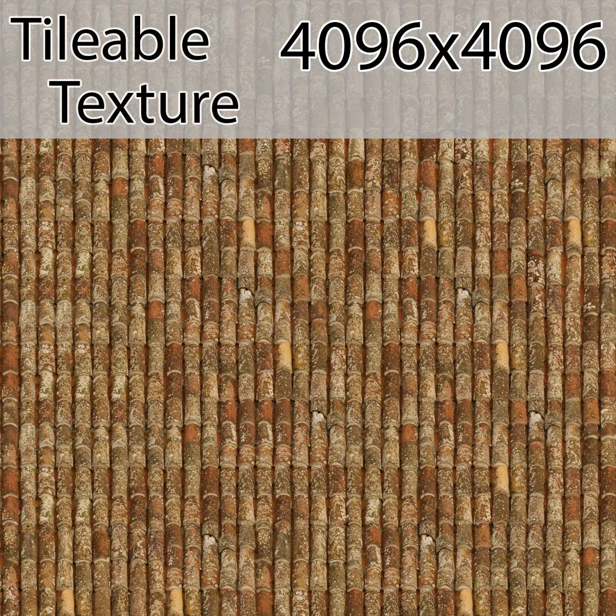 roof-00813-armrendcom-texture CG Textures .c4d .max .obj .3ds .fbx .stl .blend