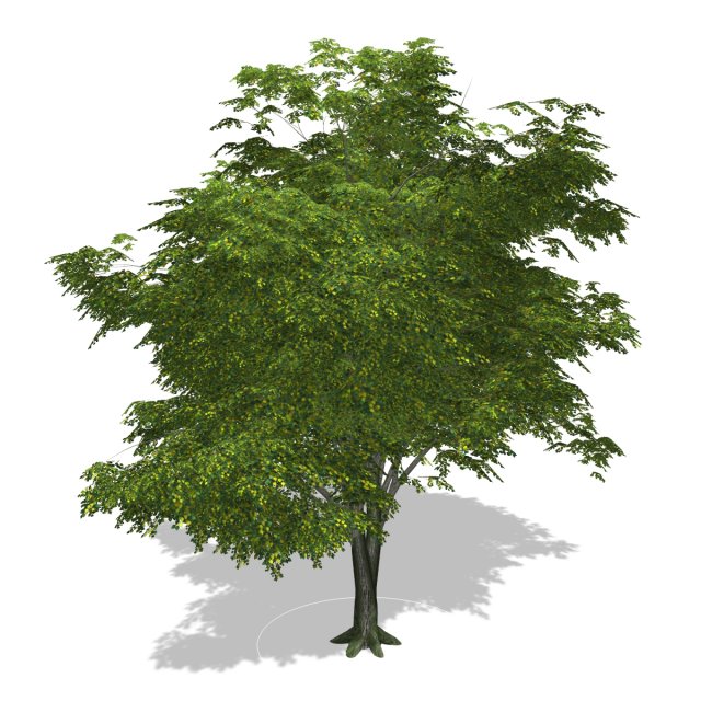 - tree - 00003 3D Model .c4d .max .obj .3ds .fbx .stl .blend 