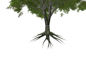 - tree - 00003 3D Model