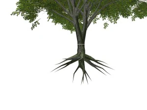 - tree - 00003 3D Model