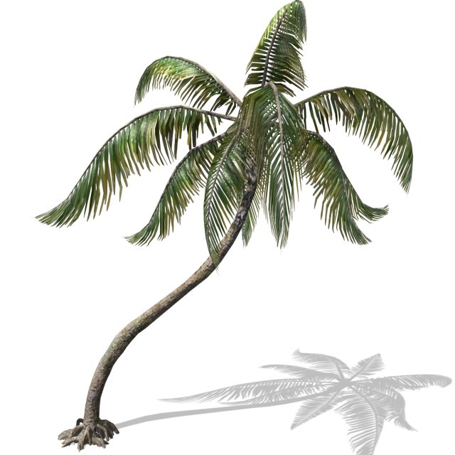 - palm -00007 3D मॉडल .c4d .max .obj .3ds .fbx .stl .blend 