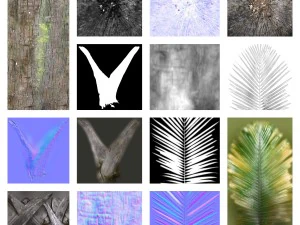 - пальма -00007 3D Модель