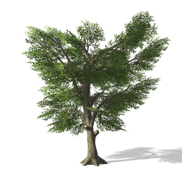 tree - 0006 3D Model .c4d .max .obj .3ds .fbx .stl .blend 