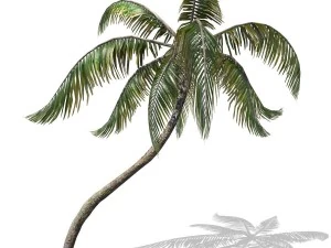 tree - 0007 3D Model