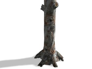 tree - 0008 - conifer 3D Model