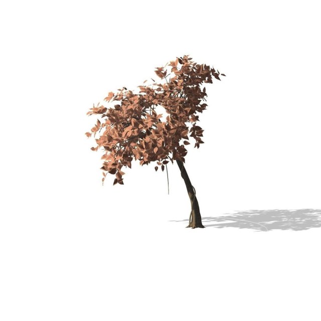 tree - 0009 Model 3D .c4d .max .obj .3ds .fbx .stl .blend