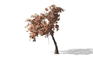 tree - 0009 Modèle 3D