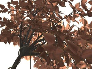 albero - 0009 Modello 3D