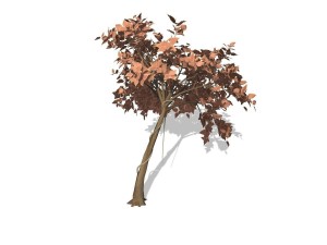 tree - 0009 Model 3D