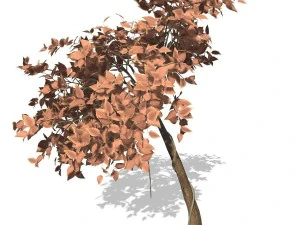 albero - 0009 Modello 3D