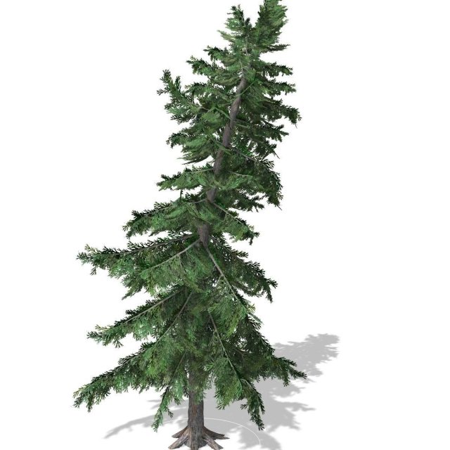 tree - 0011 Model 3D .c4d .max .obj .3ds .fbx .stl .blend 
