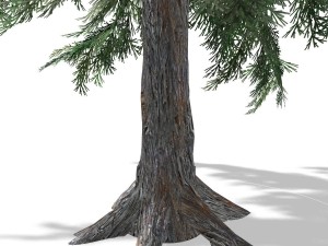 tree - 0011 Model 3D