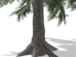 tree - 0011 3D Model