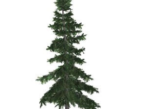 tree - 0011 Model 3D