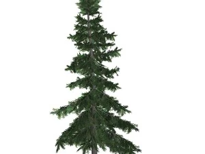 tree - 0011 3D Model