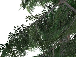 tree - 0011 Model 3D