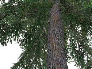 tree - 0011 Model 3D