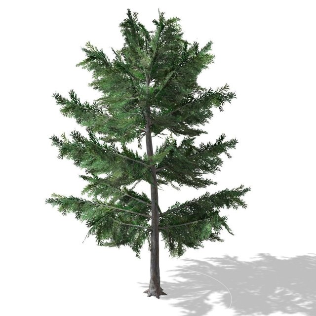tree - 0012 Modèle 3D .c4d .max .obj .3ds .fbx .stl .blend