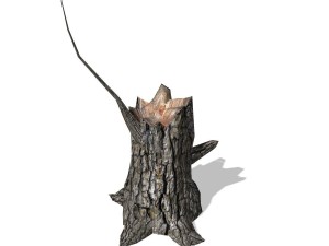 tree - 0013 Model 3D