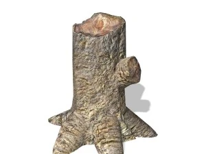 дерево - 0014 3D Модель