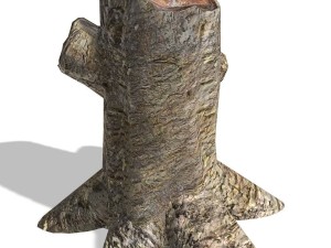 tree - 0014 Modelo 3D