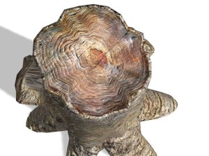 tree - 0014 Modelo 3D