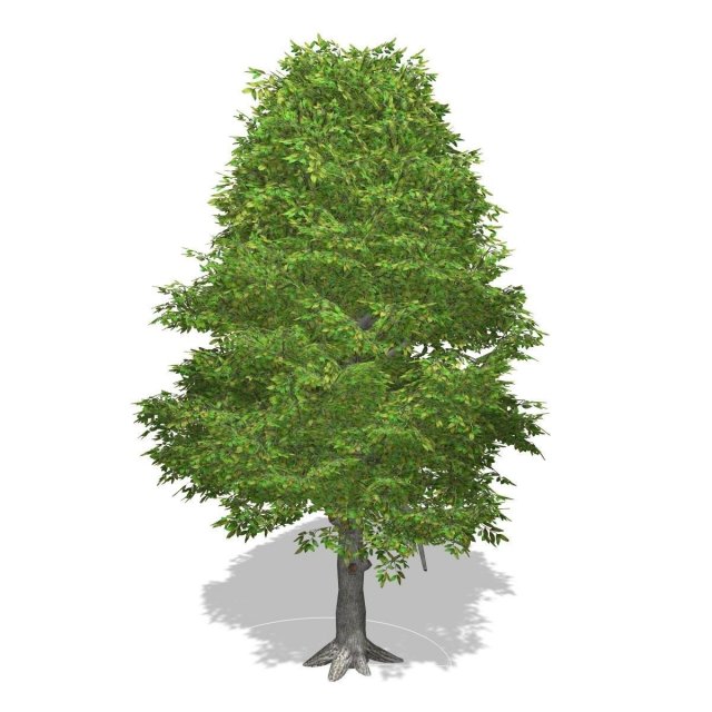 tree - 0015 3D Model .c4d .max .obj .3ds .fbx .stl .blend 