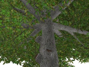 tree - 0015 3D Model